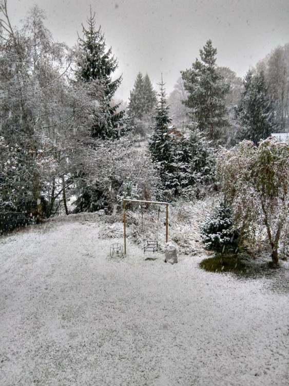 Frymburk, autor Alena Fedorová