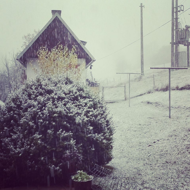 Hořice na Šumavě, autor Petra Harenčáková