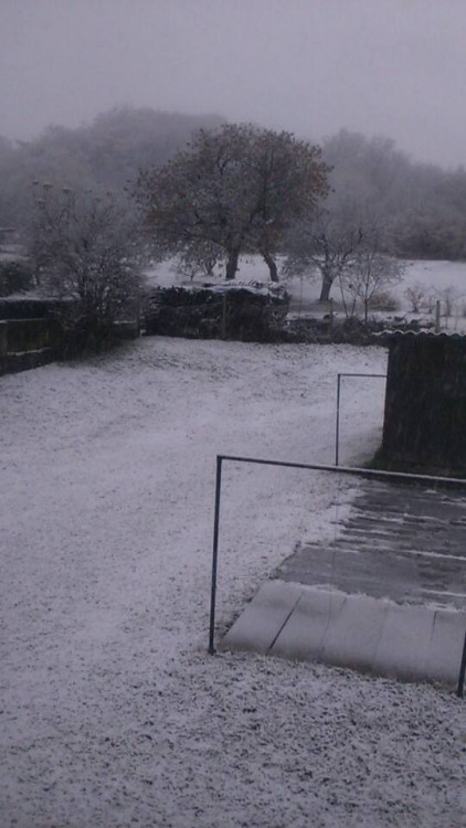 Chroboly, autor Marcela Jírů