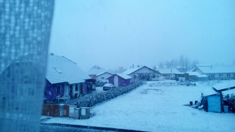 Malonty, Hana Jarošová