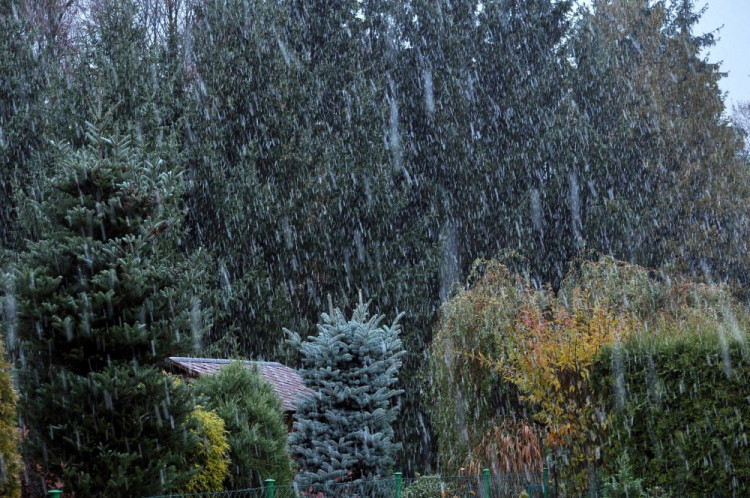 Srubec, autor Miroslav Kusbach