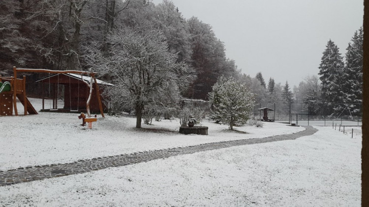 Strážné, autor Tereza Zelendová