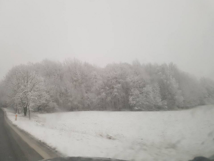 Volary, autor Martina Antošová