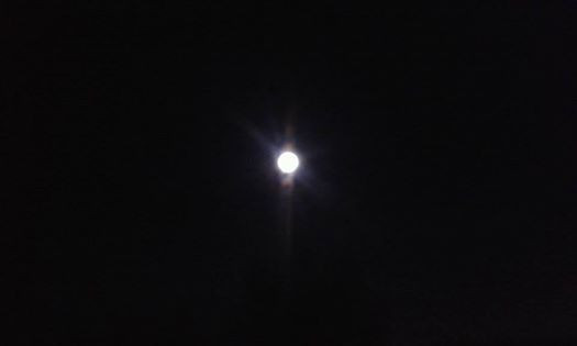 Foto Mája Kobayashi