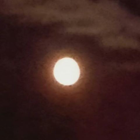 Foto Petra Jirecová Nováková