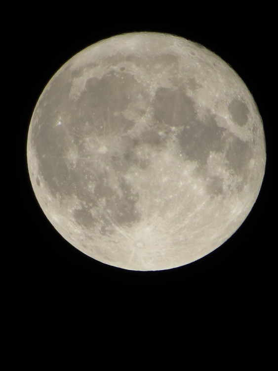 Foto Veronika Vayajová