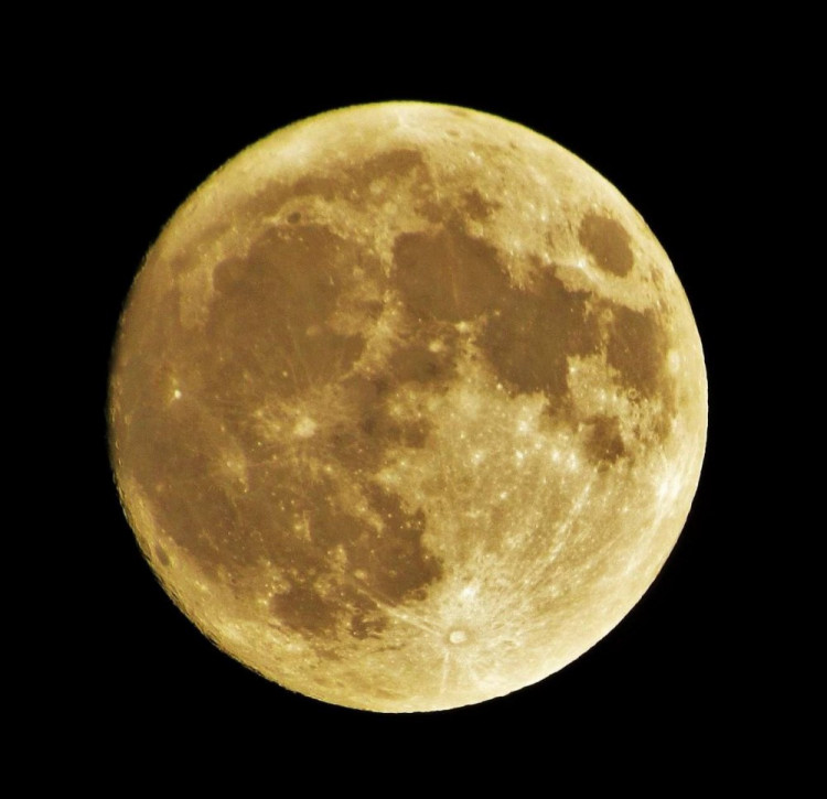 Foto Janina Dvořáková