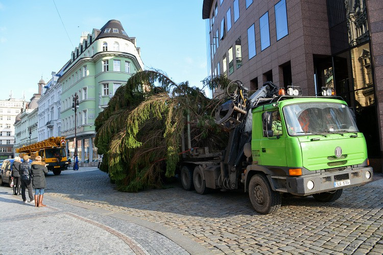Vánoční strom už stojí na náměstí