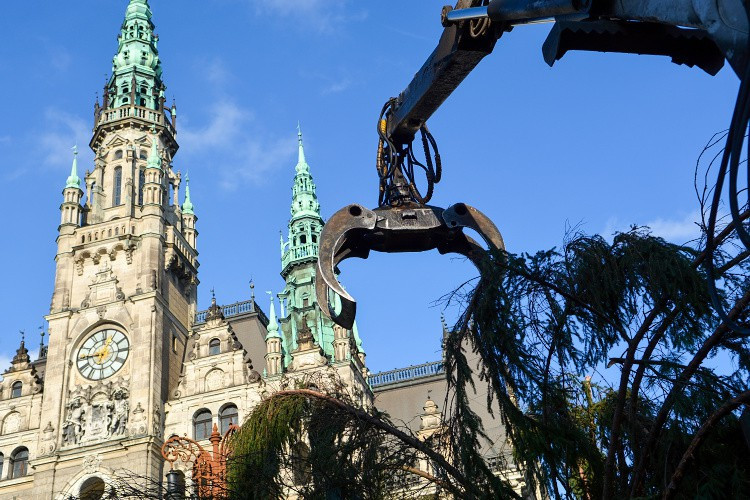 Vánoční strom už stojí na náměstí