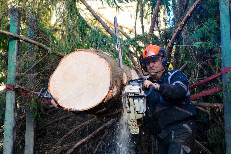 Vánoční strom už stojí na náměstí