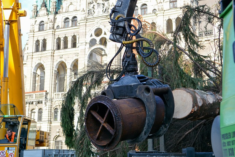 Vánoční strom už stojí na náměstí