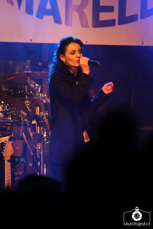 Jihlava zahájila advent rozsvícením vánočního stromečku na náměstí