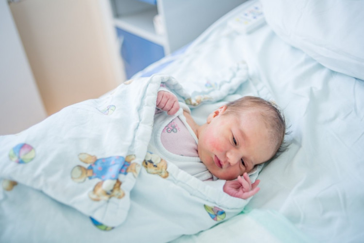 Amálie Dvořáková