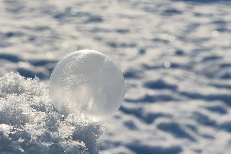 Máj, autor Vasek Sony