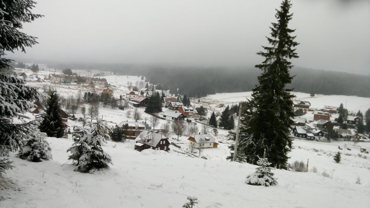 Kvidla, autor JustifyLau Vlastička Maršíková