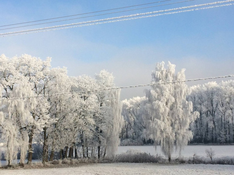 Autor: Romana Mondeková