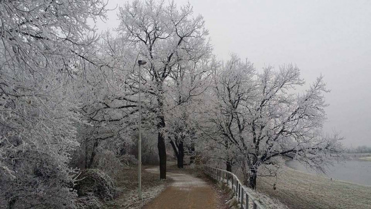 Autor: Veronika Krocová