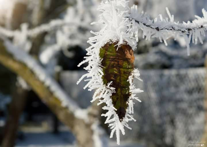 Autor: Petra Bendová