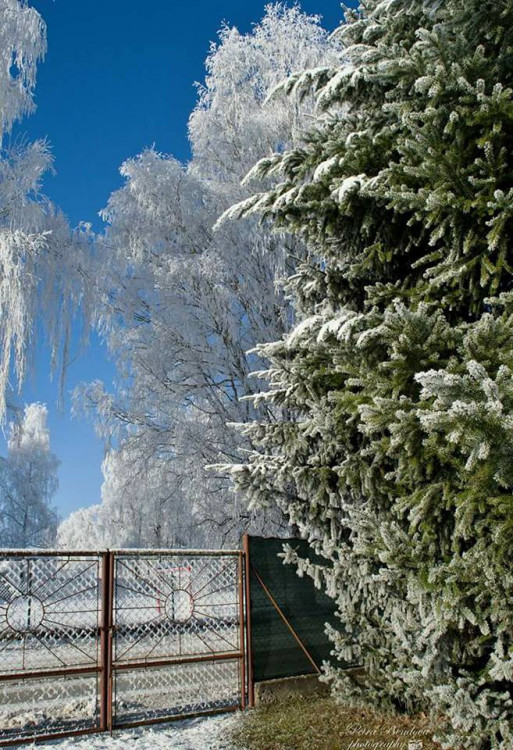 Autor: Petra Bendová