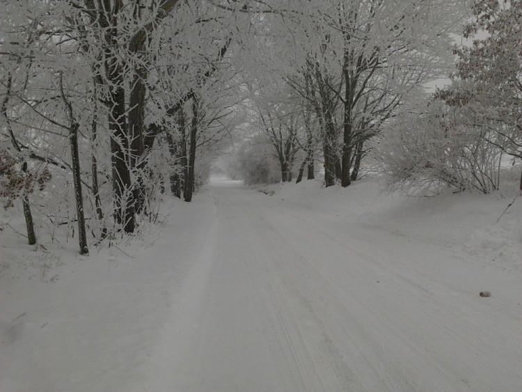 Autor: Josef Nováček