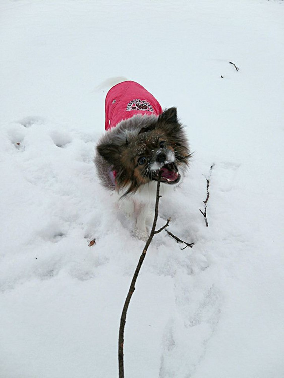 Autor: Petra Žahourová