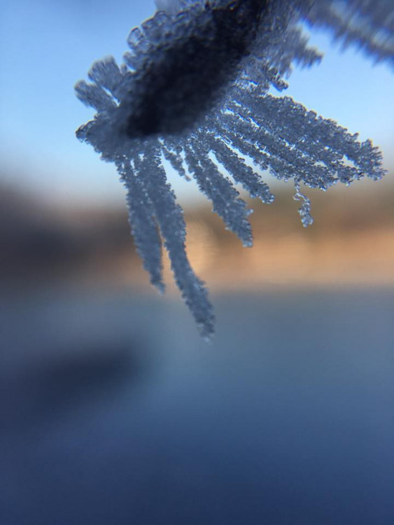 Autor: Stanislav Kosáček