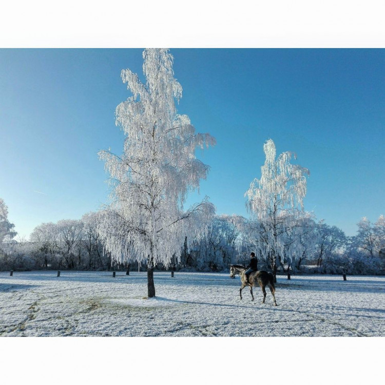 Autor: Adéla Petříčková