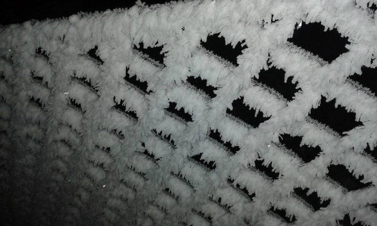 Autor: Jana Zemanová