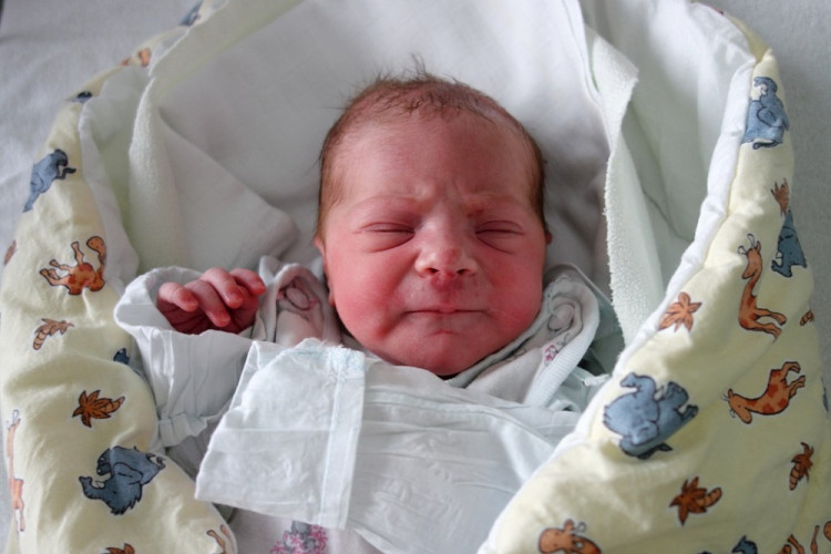 Apfelthalerová Kristýna