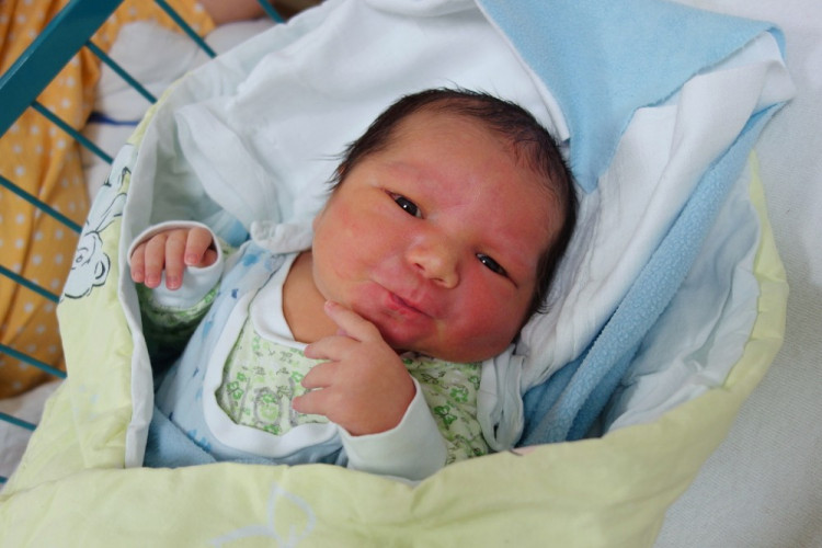 Pohlodko Samuel Tibor