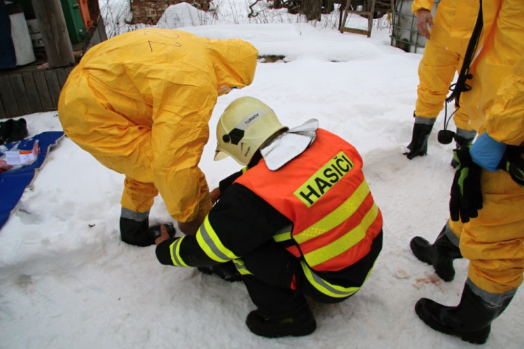 Likvidace chovu nakaženého ptačí chřipkou v Turnově