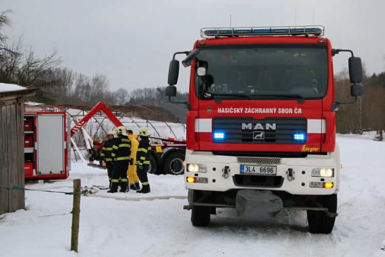 Likvidace chovu nakaženého ptačí chřipkou v Turnově