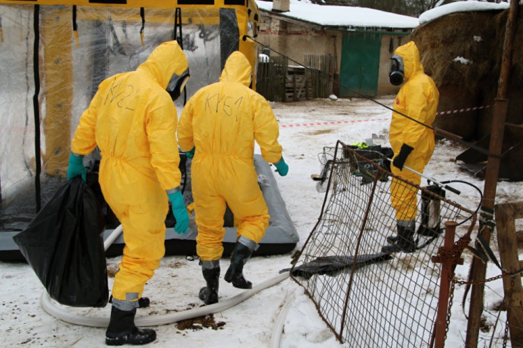 Likvidace chovu nakaženého ptačí chřipkou v Turnově