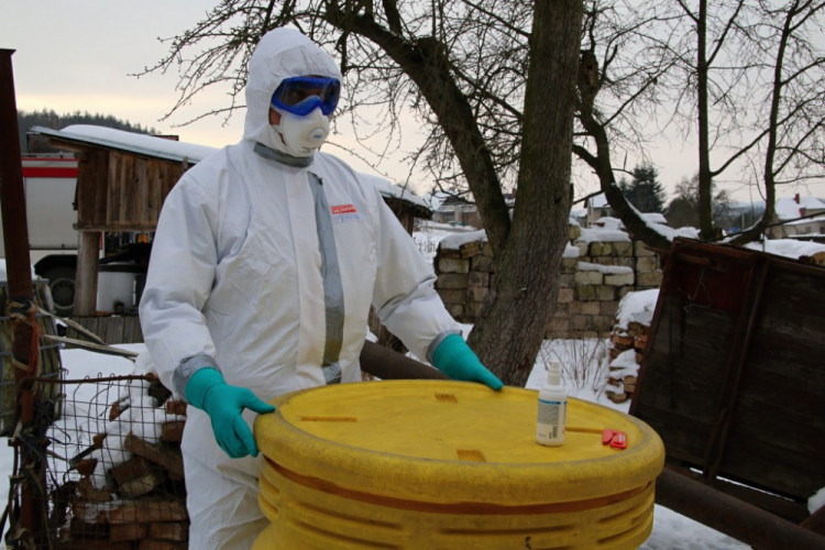 Likvidace chovu nakaženého ptačí chřipkou v Turnově