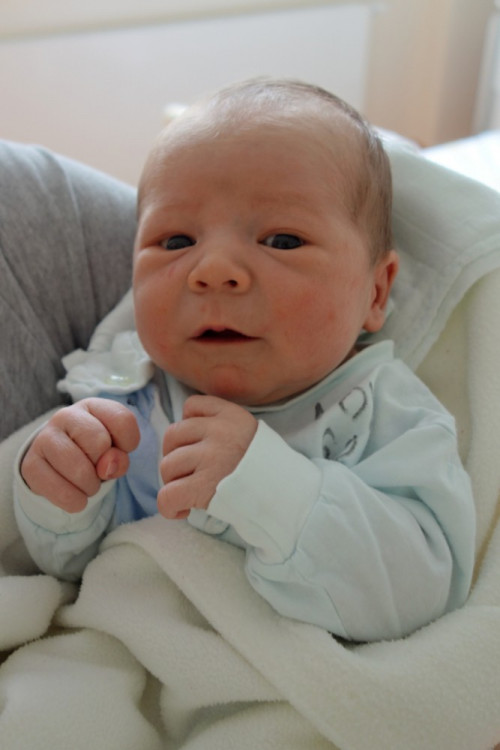 Ladislav Apfelthaler