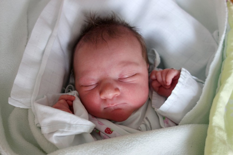 Josefína Horáková