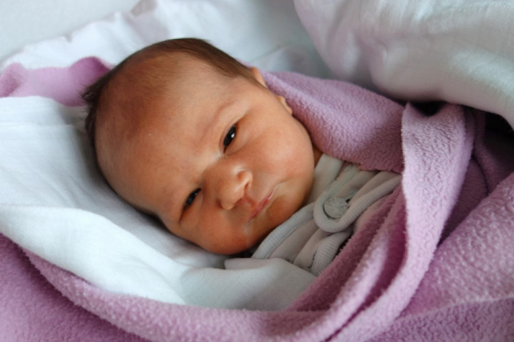 Adeline Navrátilová