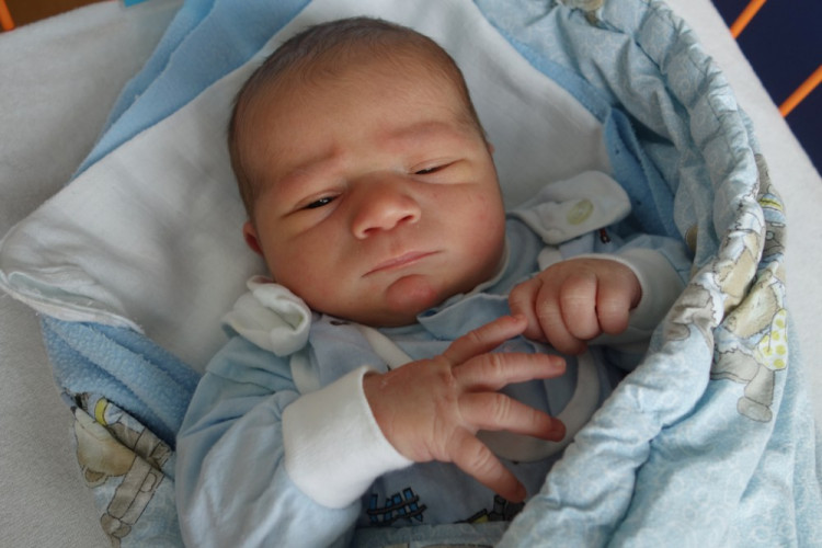 Marek Nikolas Pokorný