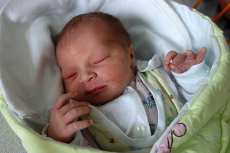 Zuzana Štefániková 