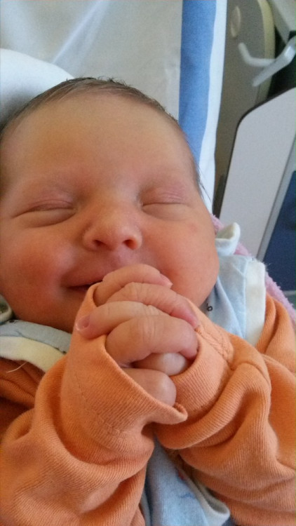 Nikola Fleišmannová