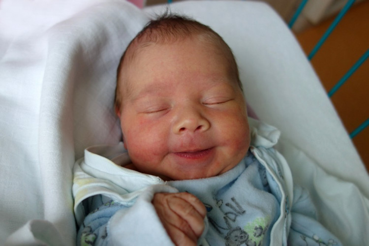 Rozálie Křížová