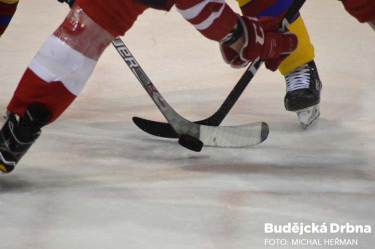 4. čtvrtfinále WSM ligy: Slavia - Motor 0:4