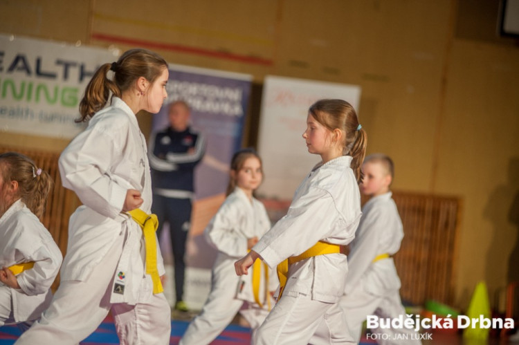 Exhibice TJ Karate České Budějovice a vyhlášení nejlepších závodníků za rok 2016