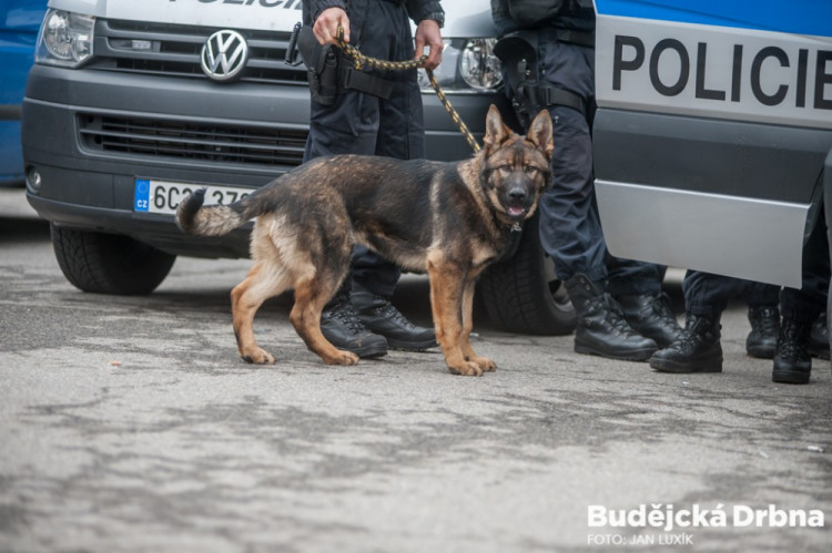 Policejní cvičení v Budvar aréně