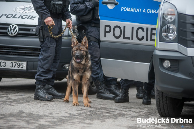 Policejní cvičení v Budvar aréně