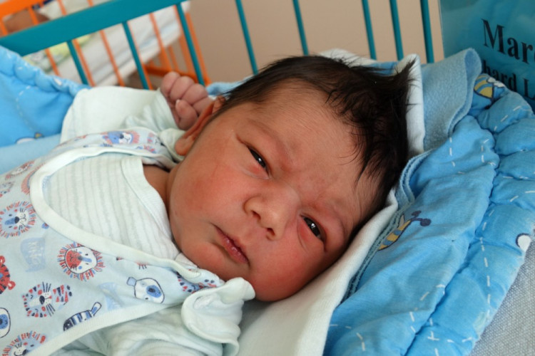 Ladislav Richard Marek