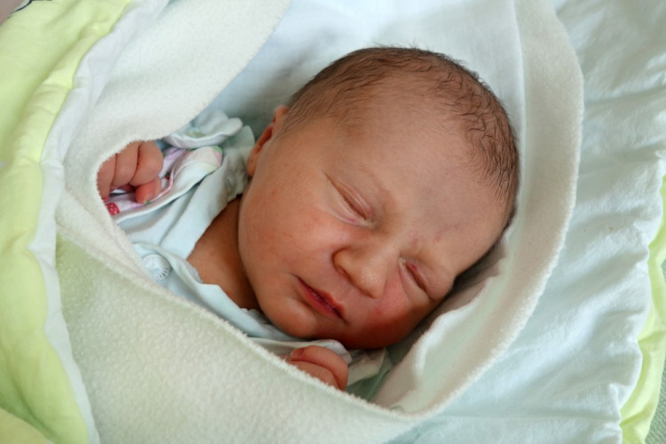 Natálie Šindelářová