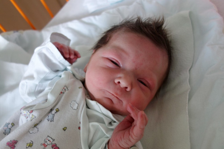 Elisabeth Anna Bulinová