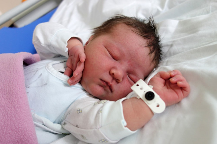 Berenika Tereza Dubská