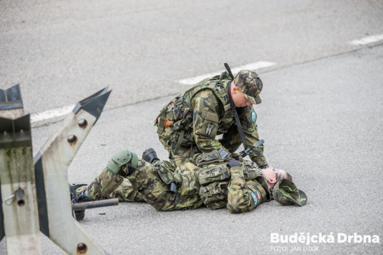 Safeguard 2017 - cvičení vojáků, policistů a specialistů ČEZ na ochranu Jaderné elektrárny Temelín proti teroristickému útoku